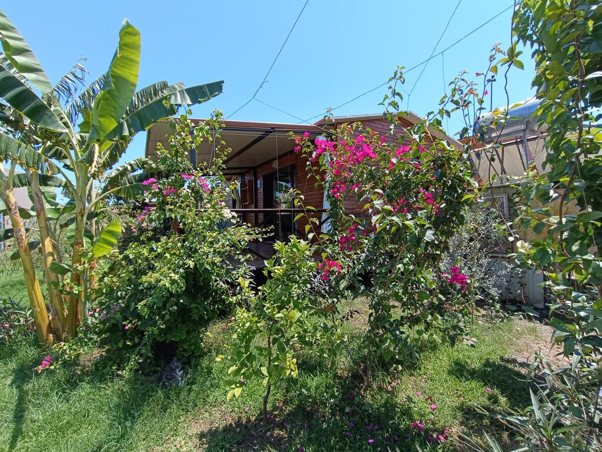 Arlin Bungalows Kemer Kültér fotó