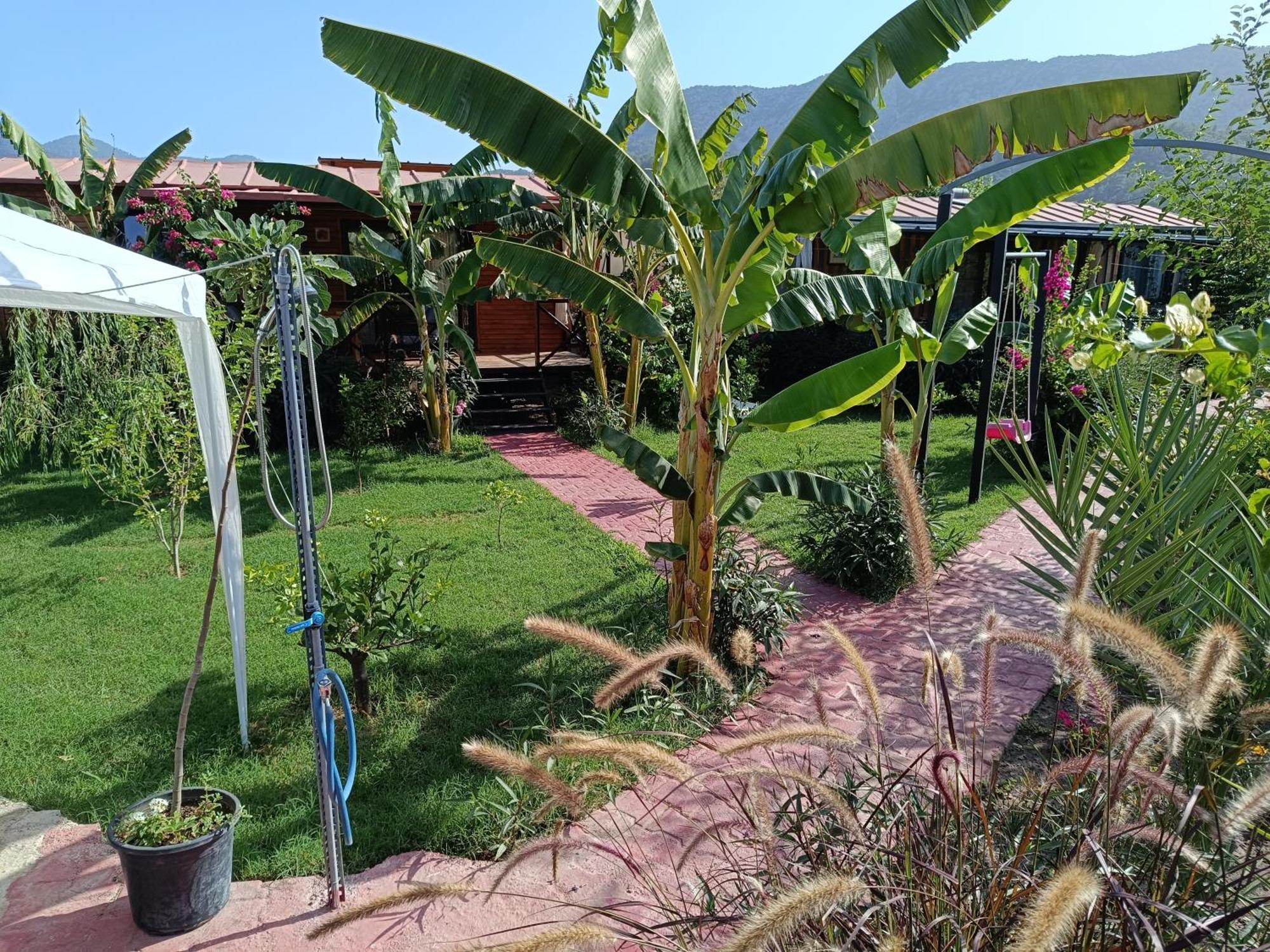 Arlin Bungalows Kemer Kültér fotó
