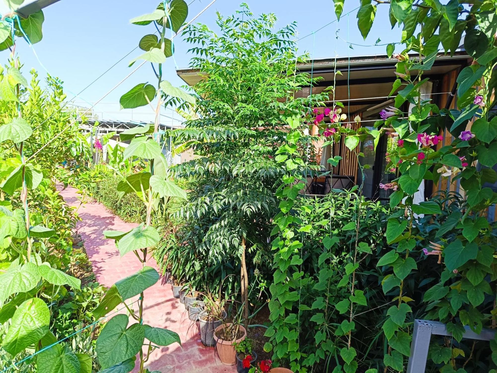 Arlin Bungalows Kemer Kültér fotó