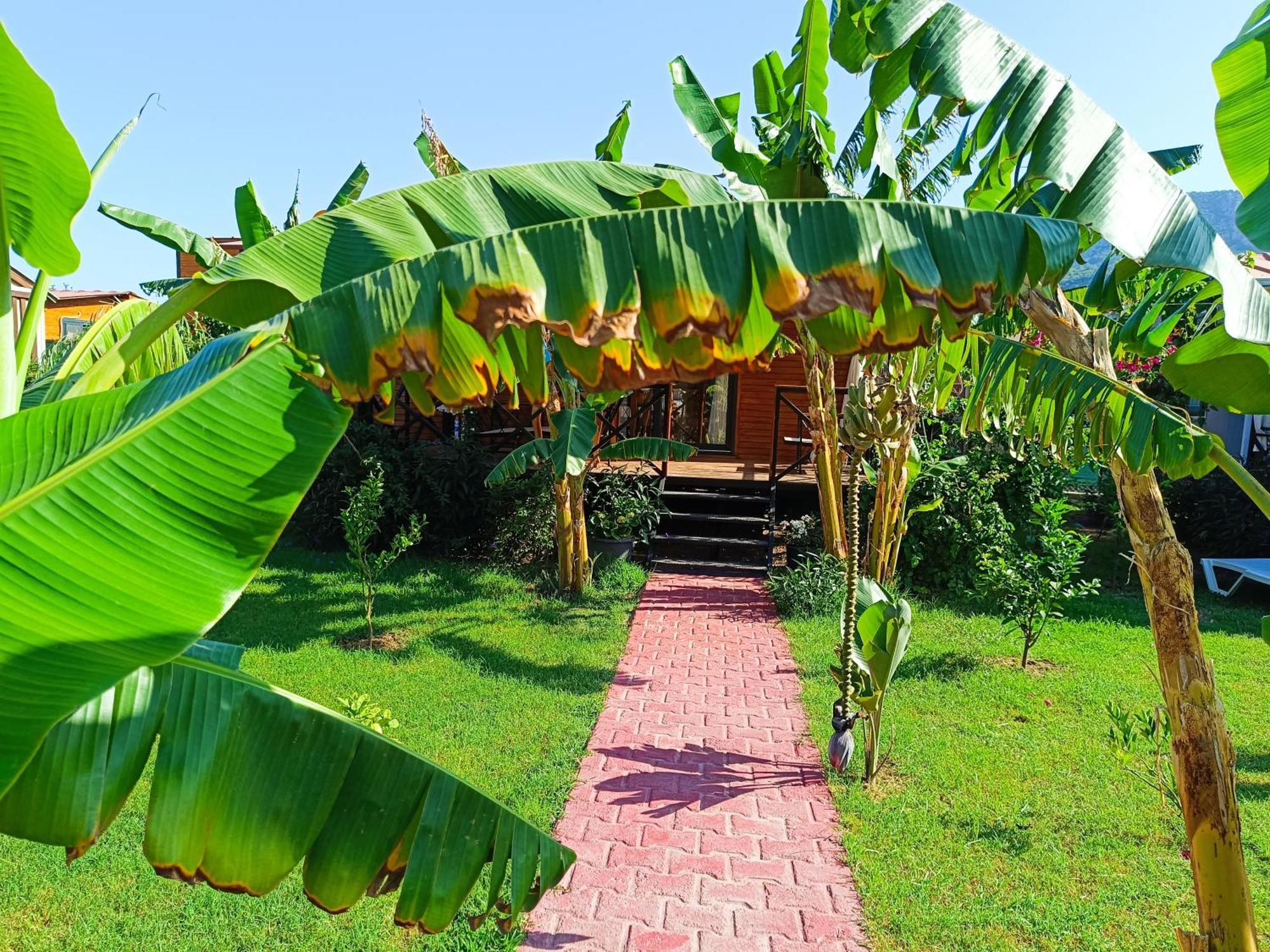 Arlin Bungalows Kemer Kültér fotó